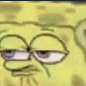 Meet your Posher, Roy